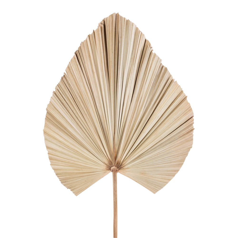 Deco Palm Leaf