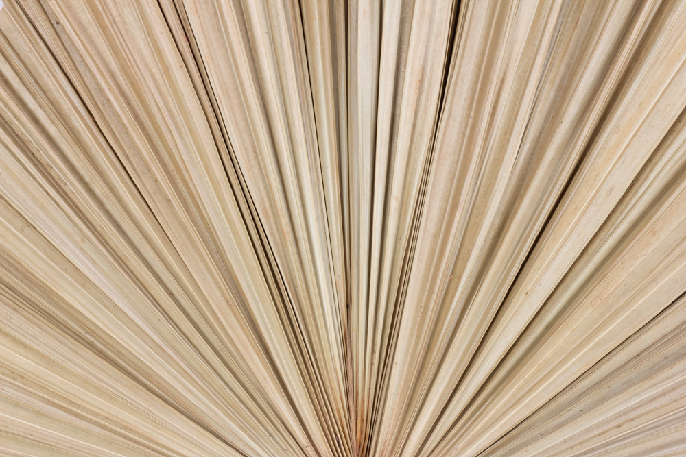 Deco Palm Leaf