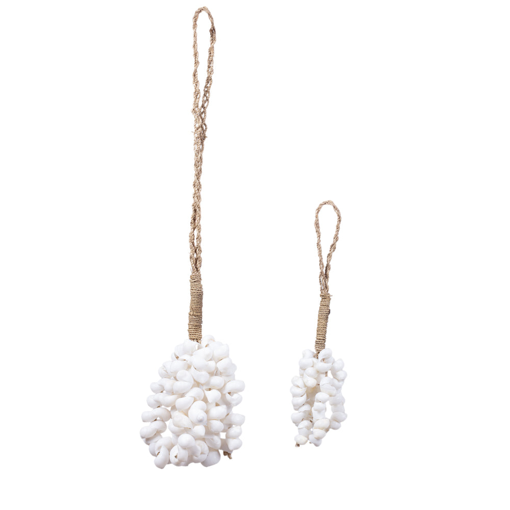 Shell Hanging Oceana