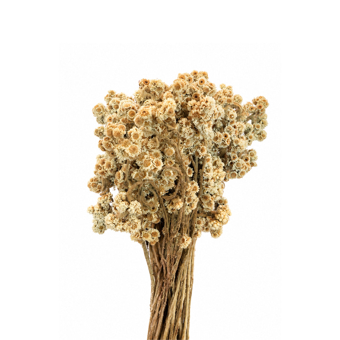 Spring Flowers Decoration