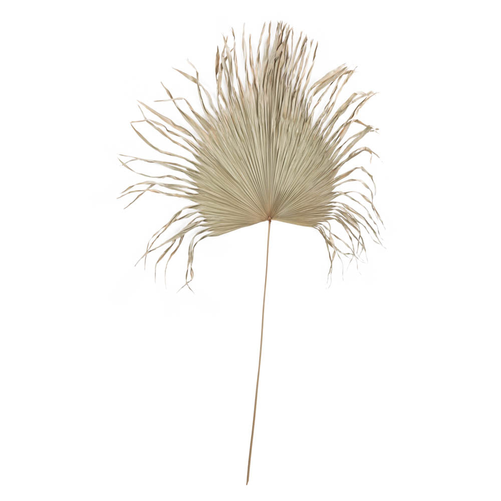 Decor Nory Nature Palm Leaf