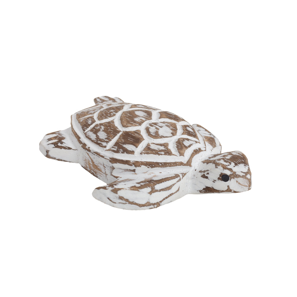 Gili Island Turtle