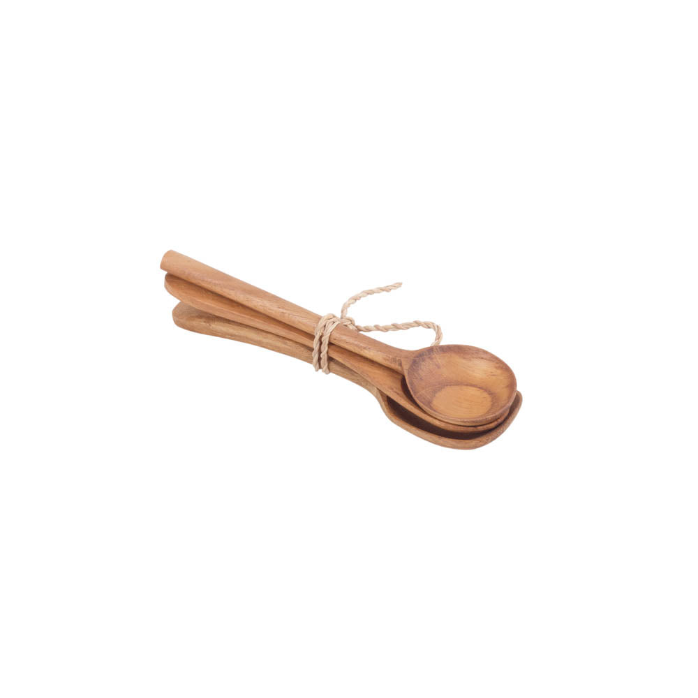 Tea Spoon Axel