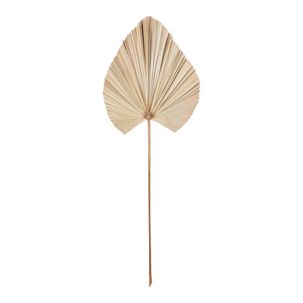 Deco Palm Leaf