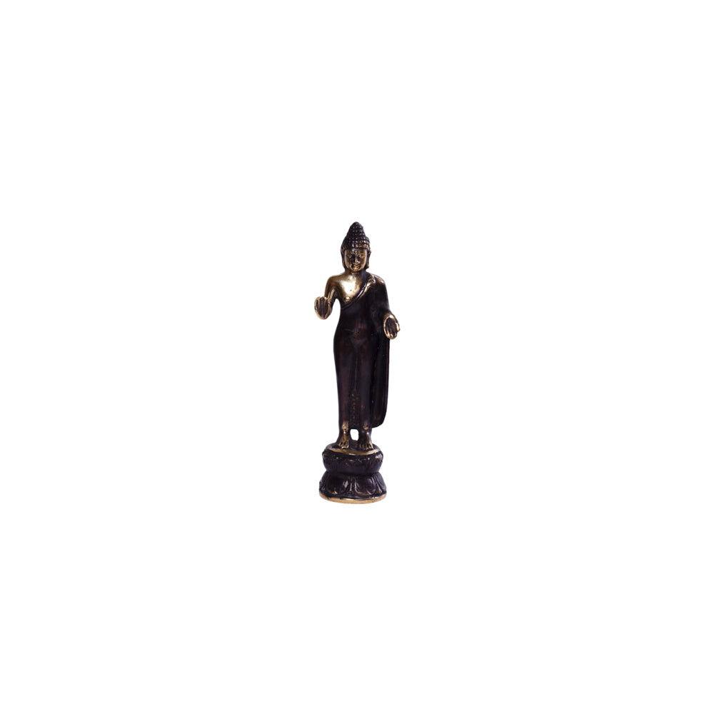 Brass Blessing Buddha