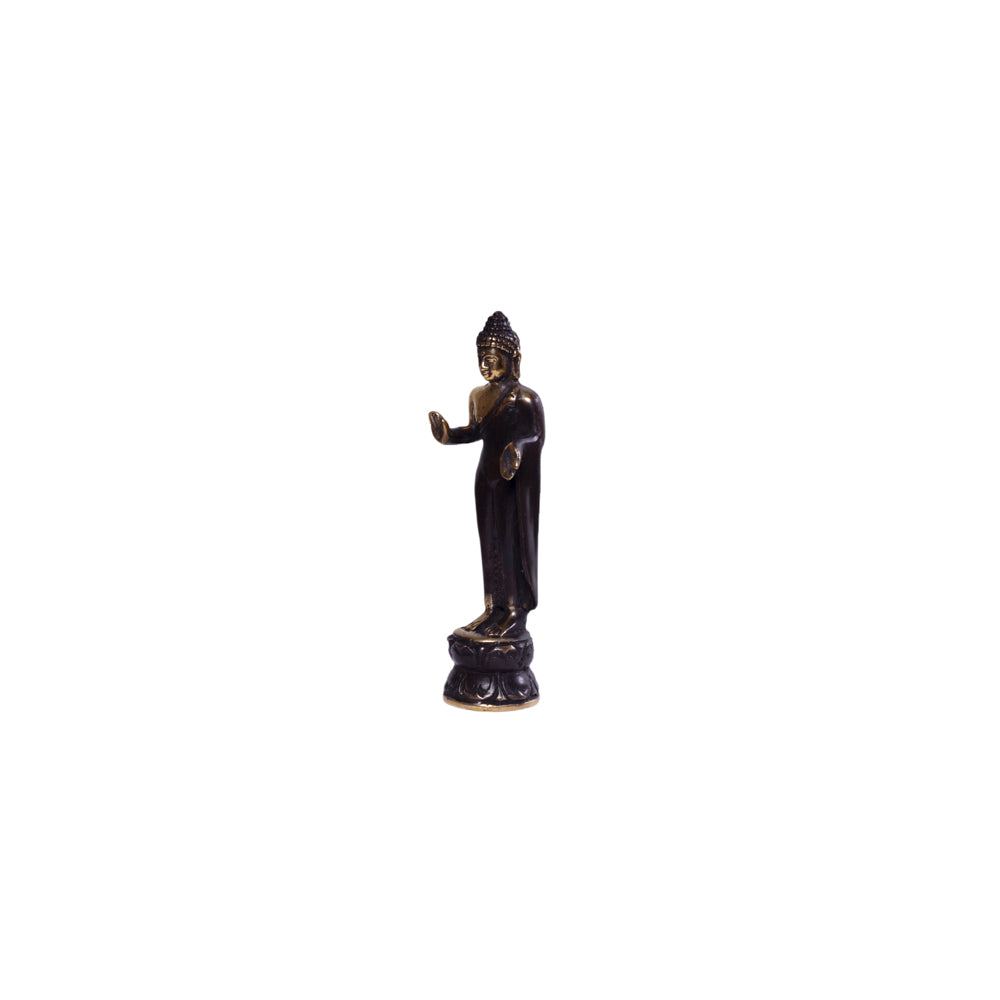 Brass Blessing Buddha