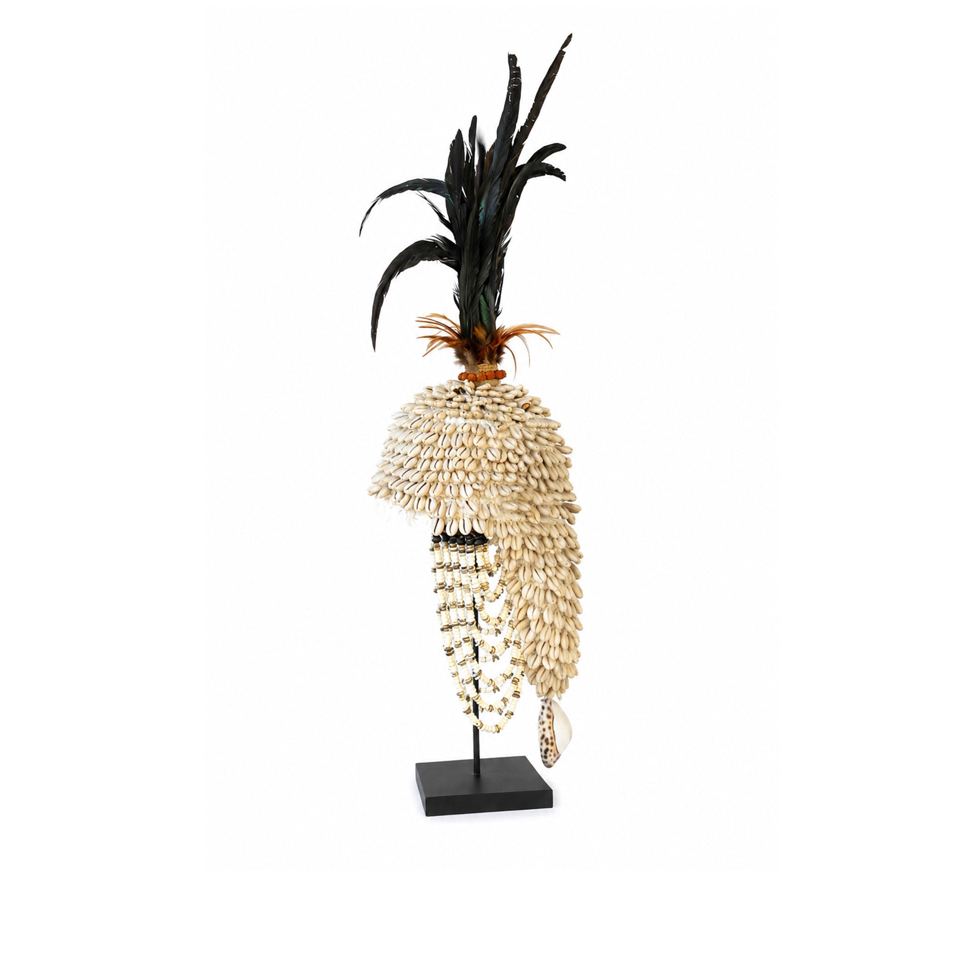 Crown Shell