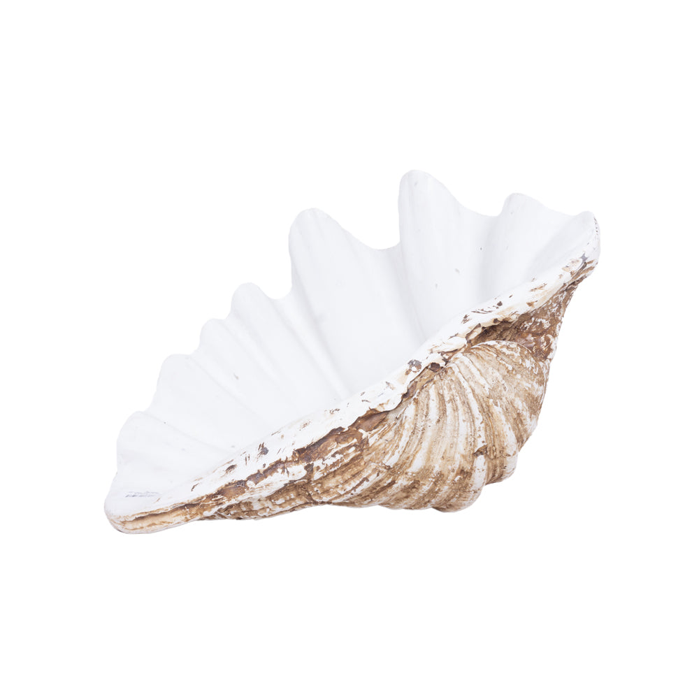 Oceana Resin Clam Shell